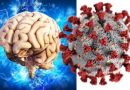Mild COVID-19 infections can cause brain changes (1)
