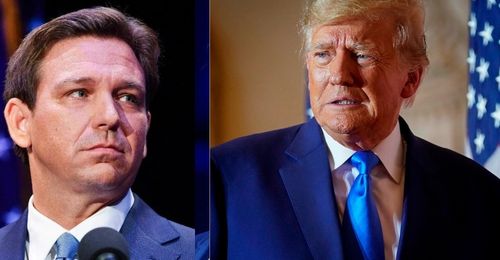 'I know more about him than anybody': Trump hints he has dirt on DeSantis