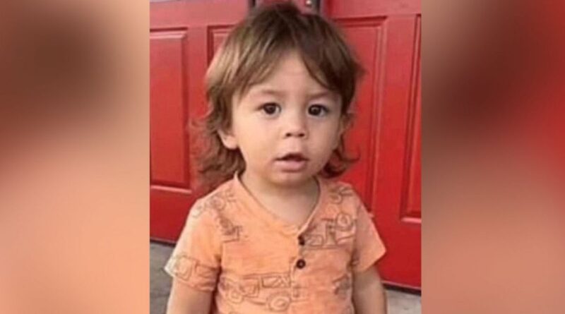 Mom of missing Savannah toddler charged with his murder
