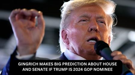 GINGRICH MAKES BIG PREDICTION ABOUT HOUSE AND SENATE IF TRUMP IS 2024 GOP NOMINEE